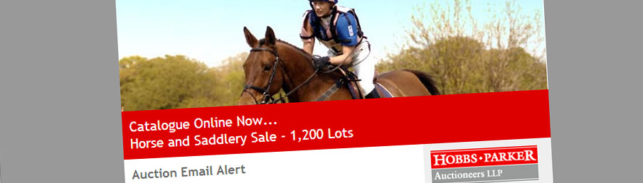 Online Livestock Auction Uk
