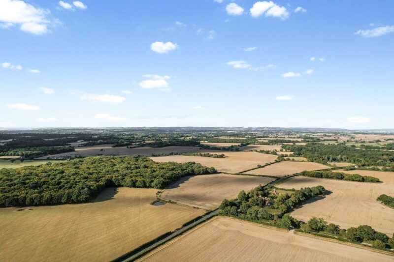 Cautious Optimism for the Farmland Market in 2025