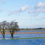 Stour Catchment Planning Update