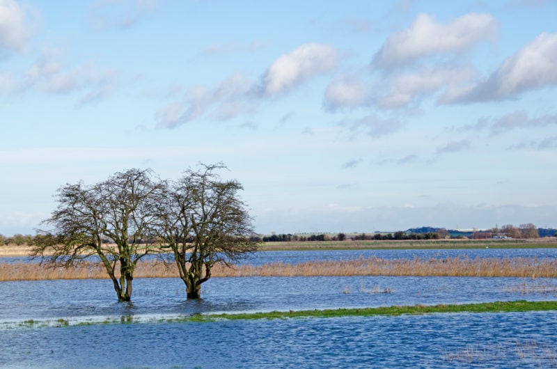 Stour Catchment Planning Update