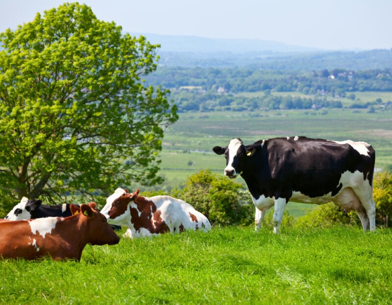 Are your grazing arrangements due a spring clean?