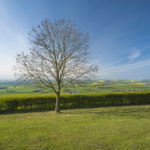 Rural scene view over fields