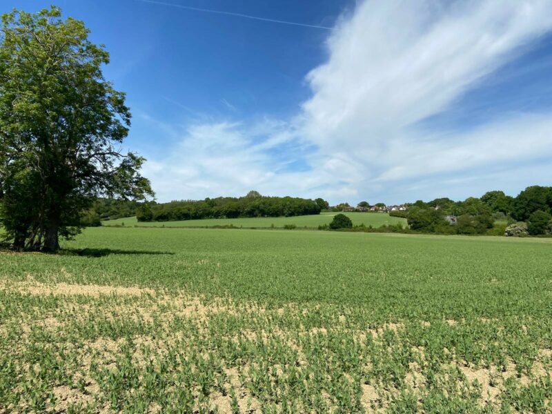 Land At Warehorne Lane, Hamstreet