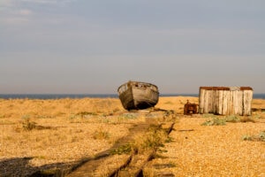 Dungeness