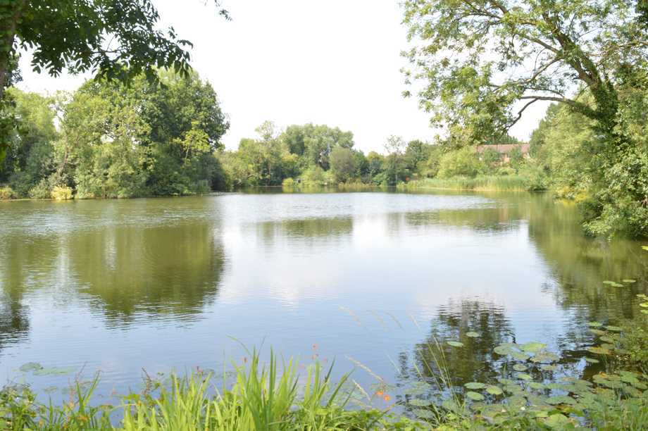 Property Auctions in Kent and East Sussex Hobbs Parker