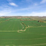 Winter Property Review: Land Values, Demand and the 2026 Outlook