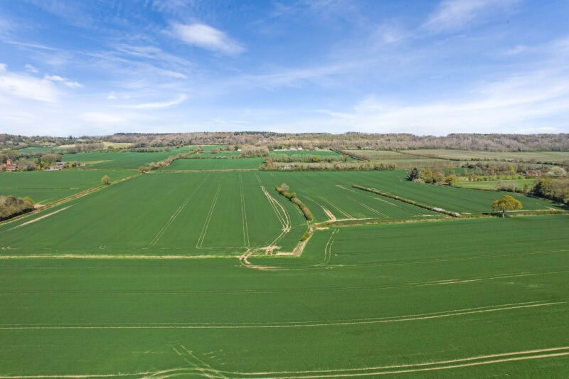 Winter Property Review: Land Values, Demand and the 2026 Outlook