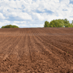 Land Use Framework March 2026: What It Means for Farmers and Landowners