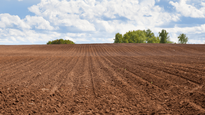 Land Use Framework March 2026: What It Means for Farmers and Landowners