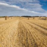 The Agricultural Transition Plan – Is your business prepared?