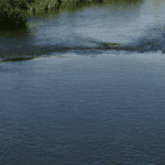 Southern Water Farm Capital Grants for River Beult Catchment Farms