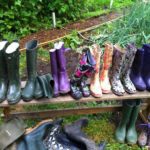 Wye Community Farm