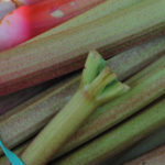 Wye Farmers' Market