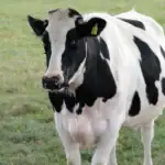 Farming Equipment and Technology Fund 2026: What the Latest Guidance Means for Farmers