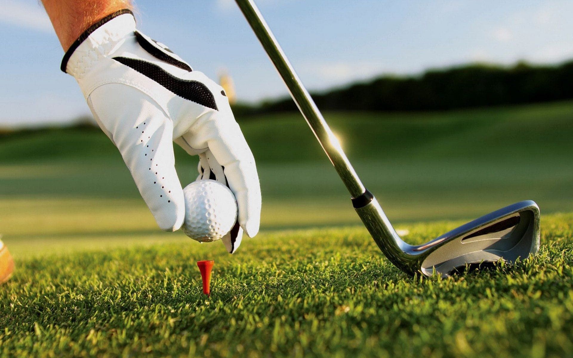 homelands golf club essay Weather forecast for homelands golf centre,england united kingdom, brought to you by golfweather golfweathercom is focused on the delivery of accurate weather forecasts pin pointed to your local golf course. homelands golf club essay Weather forecast for homelands golf centre,england united kingdom, brought to you by golfweather golfweathercom is focused on the delivery of accurate weather forecasts pin pointed to your local golf course.