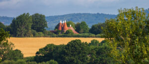 Property Consultants